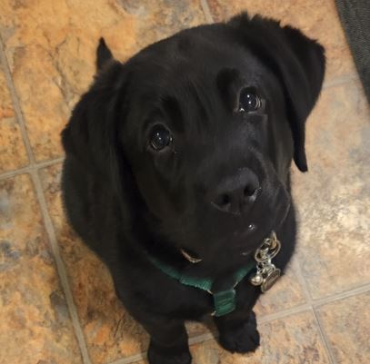 Duke