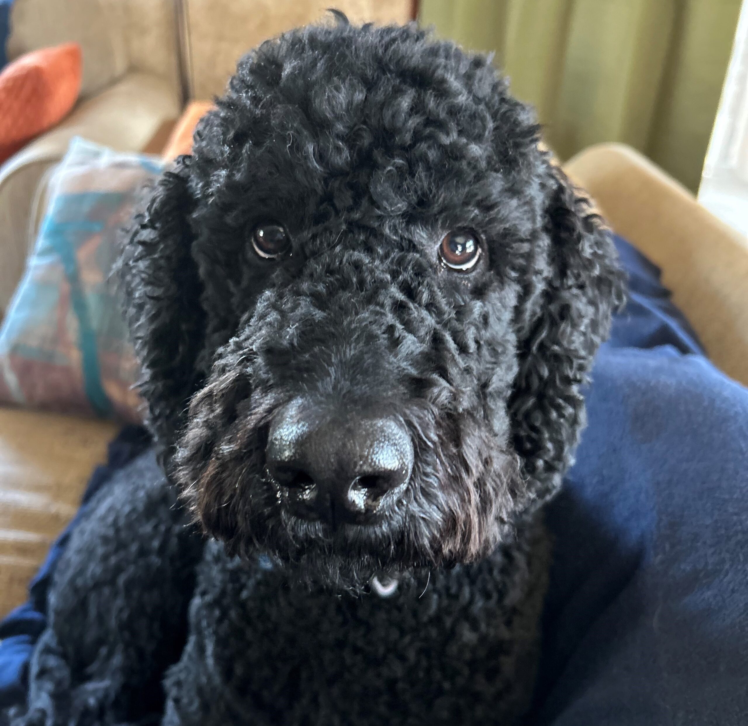 Duncan
