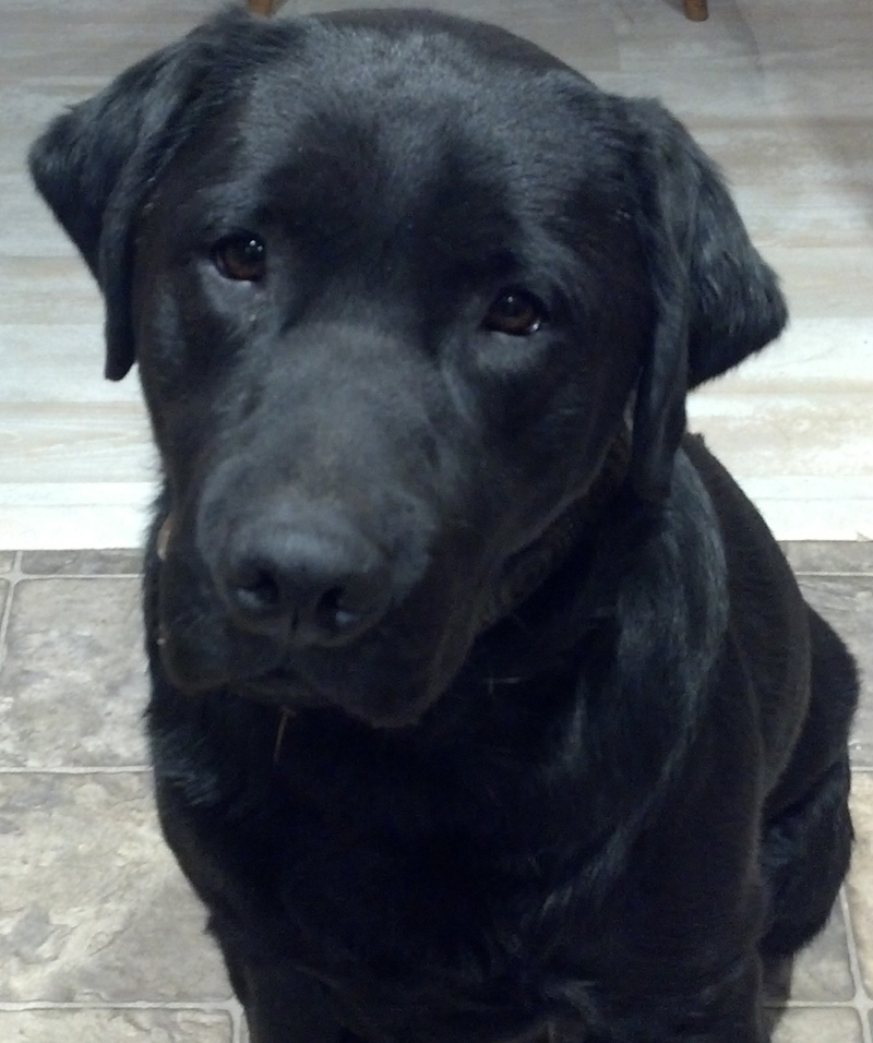 Jackson