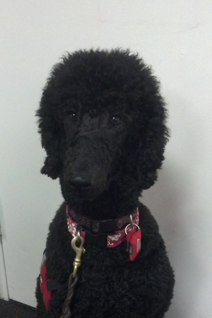 Kona