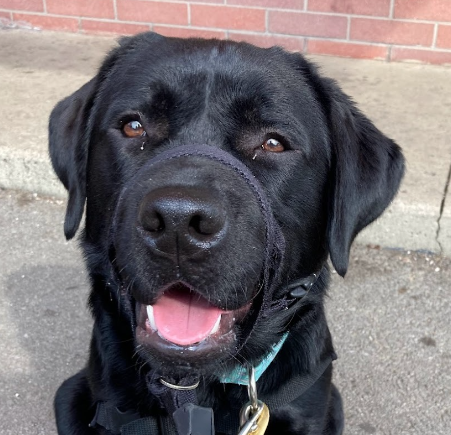 Max