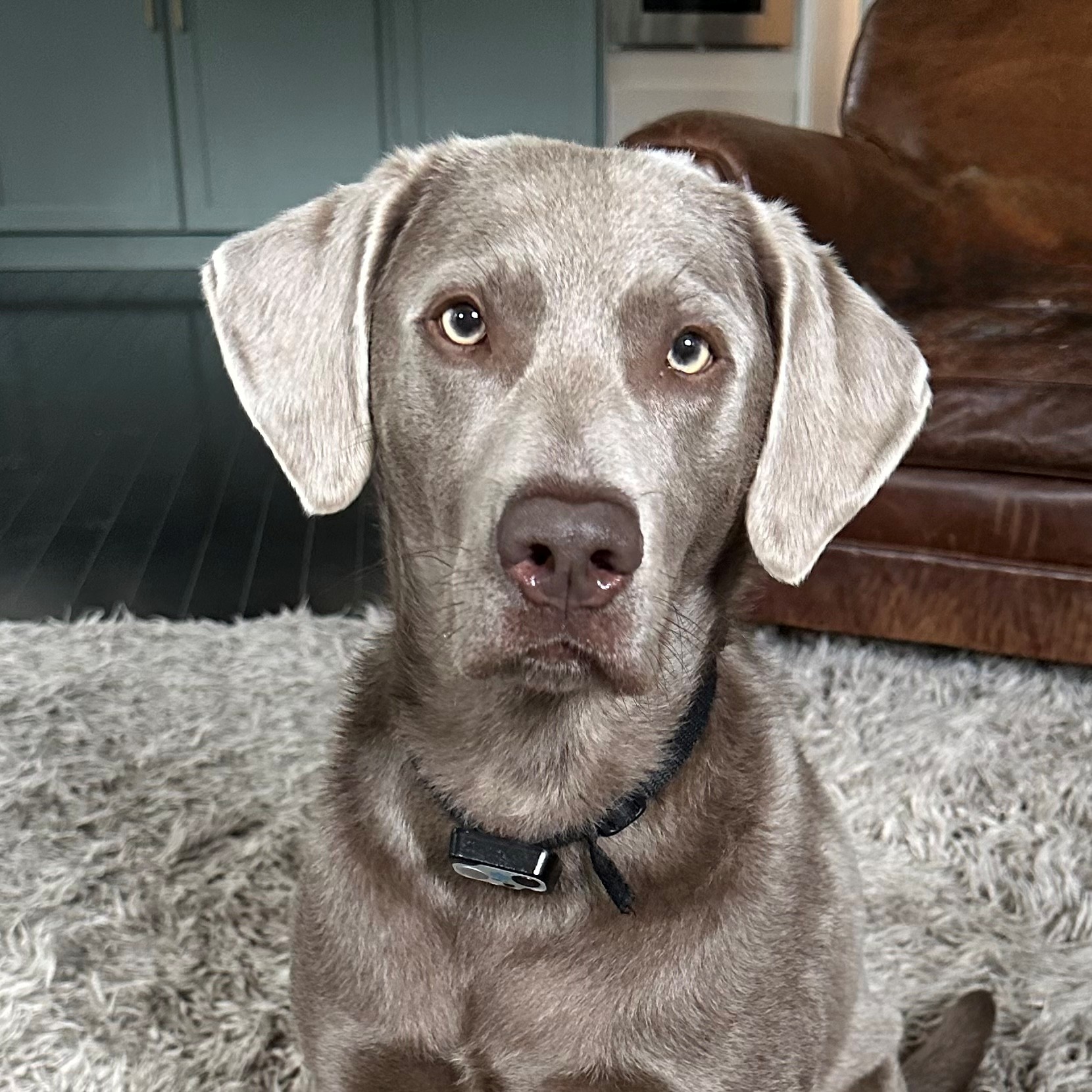 Murphy Kunda