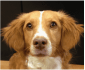 Suki Rogal