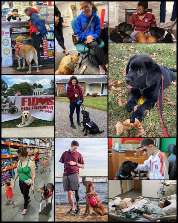 assistance-dog-programs